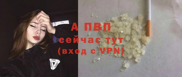 ГАЛЛЮЦИНОГЕННЫЕ ГРИБЫ Переславль-Залесский
