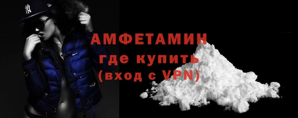 твердый Пересвет
