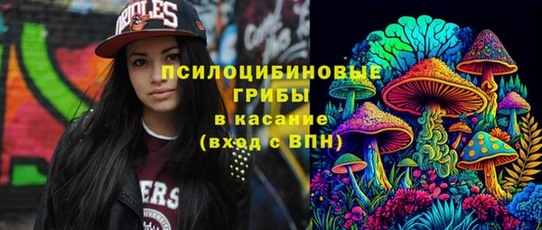 ГАЛЛЮЦИНОГЕННЫЕ ГРИБЫ Переславль-Залесский