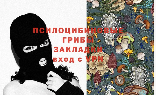дживик Абаза