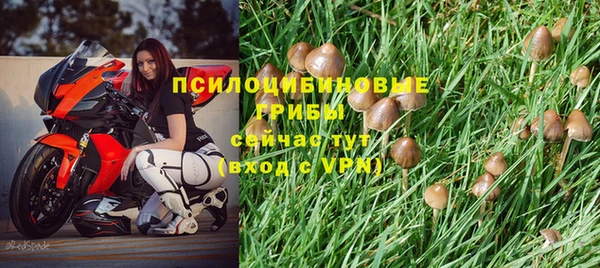 ГАЛЛЮЦИНОГЕННЫЕ ГРИБЫ Переславль-Залесский