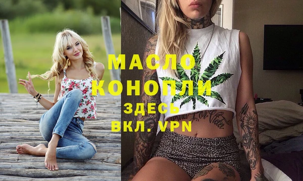 твердый Пересвет