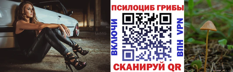 Галлюциногенные грибы мицелий  Никольское 
